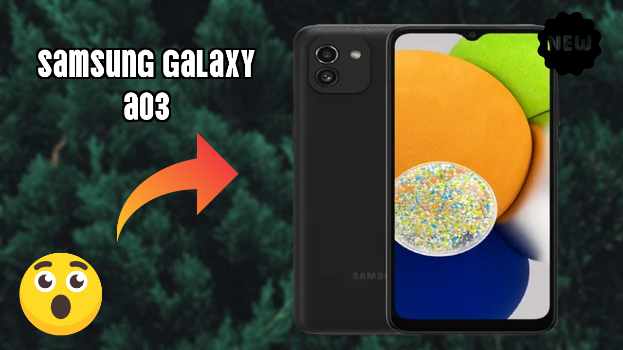 Samsung Galaxy A03 Display Quality: PLS TFT LCD Explained